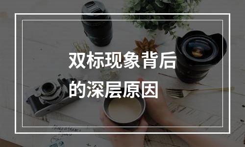 双标现象背后的深层原因