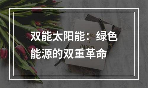 双能太阳能：绿色能源的双重革命