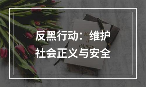 反黑行动：维护社会正义与安全