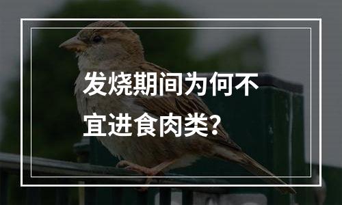 发烧期间为何不宜进食肉类？