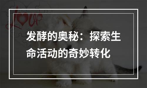 发酵的奥秘：探索生命活动的奇妙转化