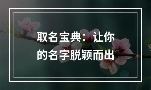 取名宝典：让你的名字脱颖而出