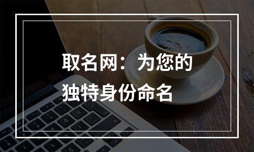 取名网：为您的独特身份命名