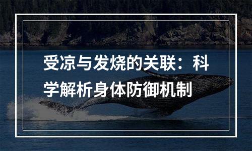 受凉与发烧的关联：科学解析身体防御机制