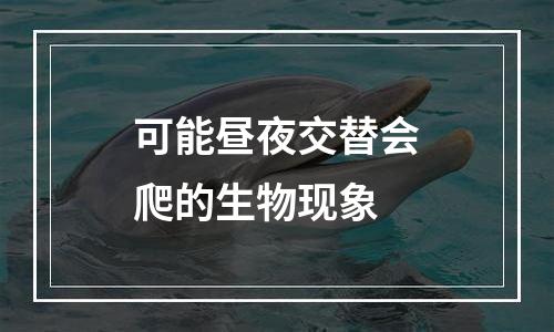 可能昼夜交替会爬的生物现象
