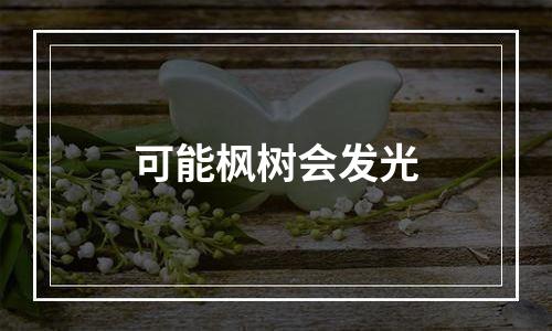 可能枫树会发光