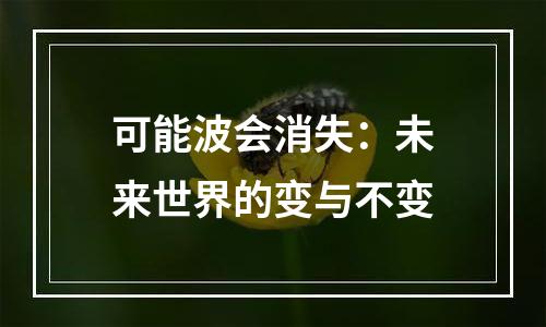 可能波会消失：未来世界的变与不变