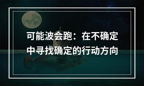 可能波会跑：在不确定中寻找确定的行动方向