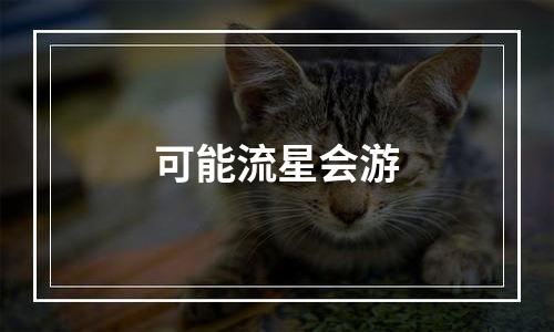 可能流星会游