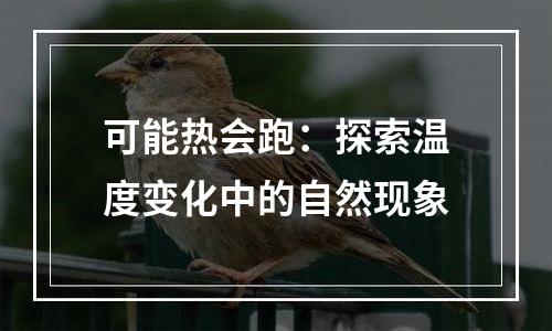 可能热会跑：探索温度变化中的自然现象