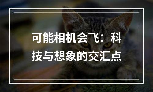 可能相机会飞：科技与想象的交汇点