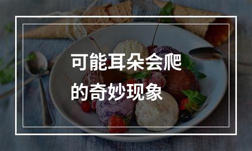 可能耳朵会爬的奇妙现象