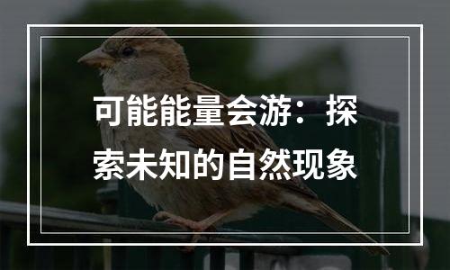 可能能量会游：探索未知的自然现象
