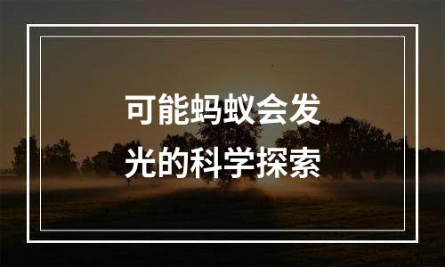 可能蚂蚁会发光的科学探索