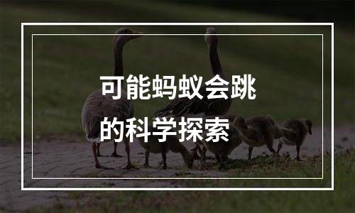 可能蚂蚁会跳的科学探索