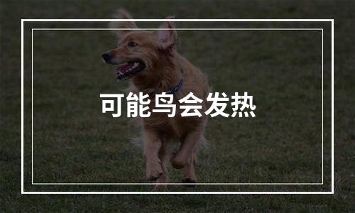 可能鸟会发热