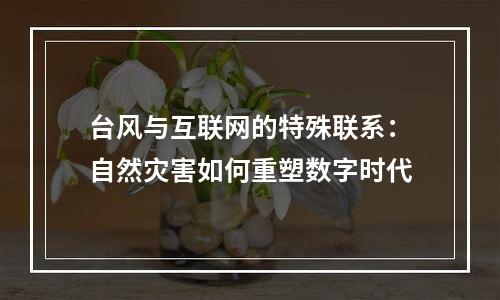 台风与互联网的特殊联系：自然灾害如何重塑数字时代