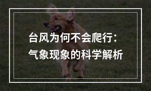 台风为何不会爬行：气象现象的科学解析