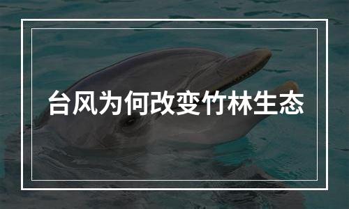 台风为何改变竹林生态