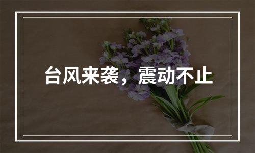 台风来袭，震动不止