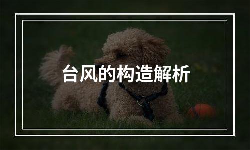 台风的构造解析