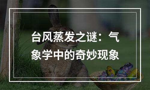 台风蒸发之谜：气象学中的奇妙现象