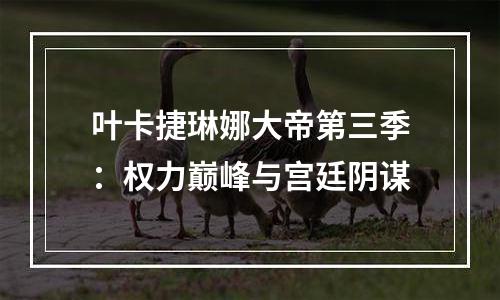 叶卡捷琳娜大帝第三季：权力巅峰与宫廷阴谋