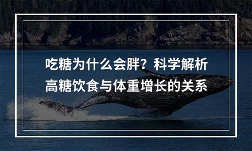 吃糖为什么会胖？科学解析高糖饮食与体重增长的关系