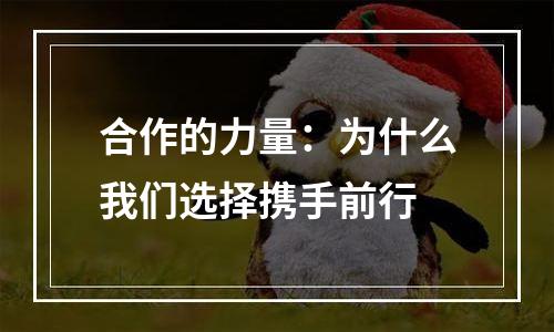 合作的力量：为什么我们选择携手前行