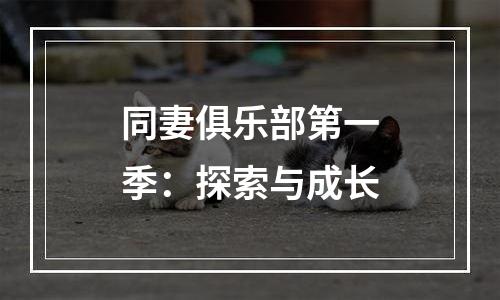 同妻俱乐部第一季：探索与成长