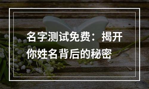 名字测试免费：揭开你姓名背后的秘密