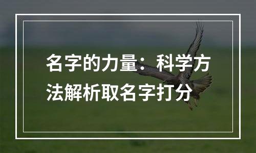 名字的力量：科学方法解析取名字打分