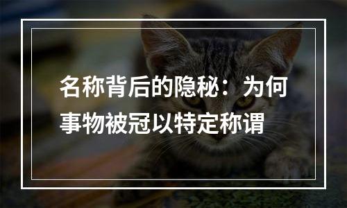 名称背后的隐秘：为何事物被冠以特定称谓