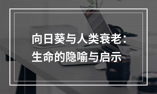 向日葵与人类衰老：生命的隐喻与启示
