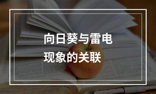 向日葵与雷电现象的关联