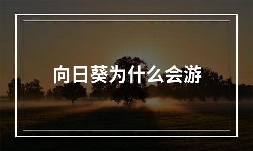 向日葵为什么会游