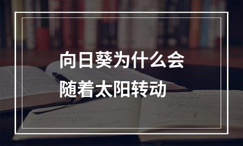 向日葵为什么会随着太阳转动
