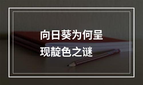 向日葵为何呈现靛色之谜