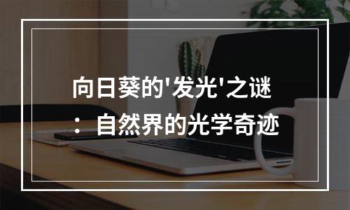 向日葵的'发光'之谜：自然界的光学奇迹