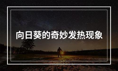 向日葵的奇妙发热现象