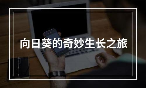 向日葵的奇妙生长之旅