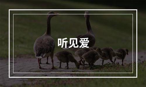 听见爱