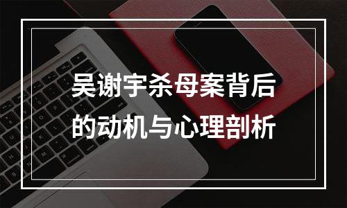吴谢宇杀母案背后的动机与心理剖析