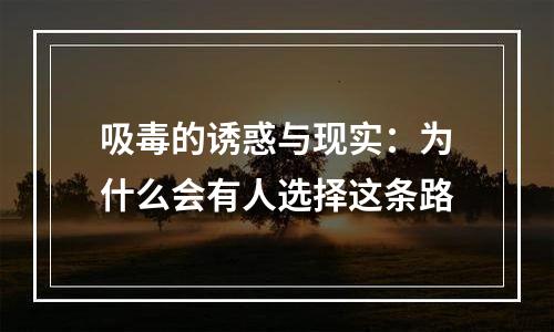 吸毒的诱惑与现实：为什么会有人选择这条路