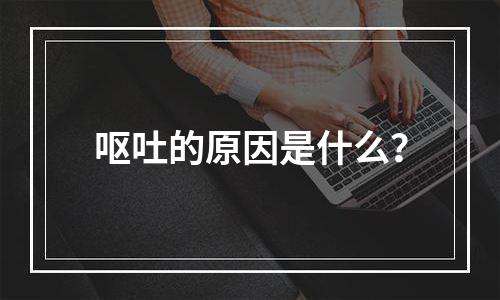 呕吐的原因是什么？