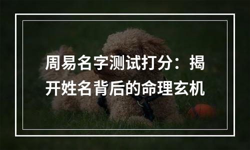 周易名字测试打分：揭开姓名背后的命理玄机