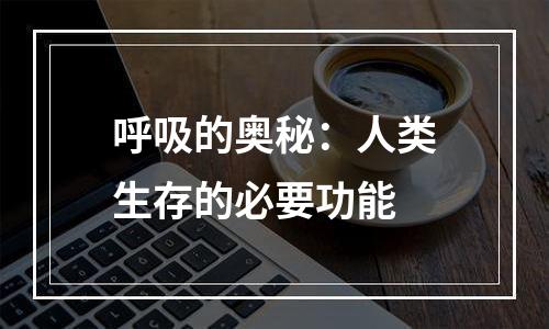 呼吸的奥秘：人类生存的必要功能
