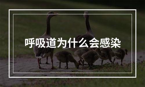 呼吸道为什么会感染