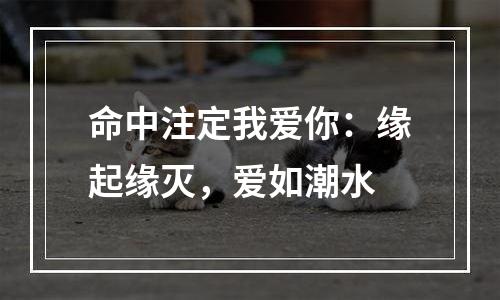 命中注定我爱你：缘起缘灭，爱如潮水