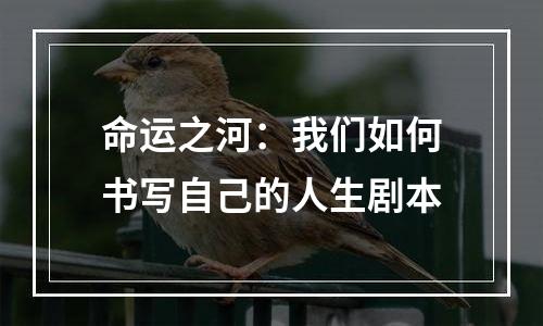 命运之河：我们如何书写自己的人生剧本